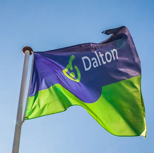 Daltonvlag klein